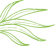 Grass decoration