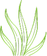 Grass decoration