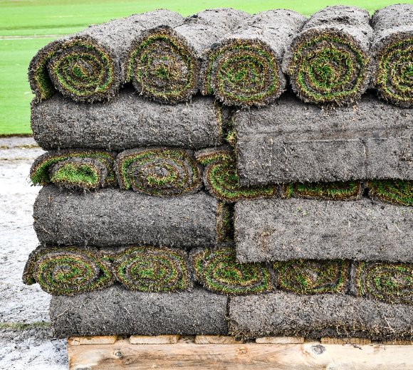 quality-turf-in-perth