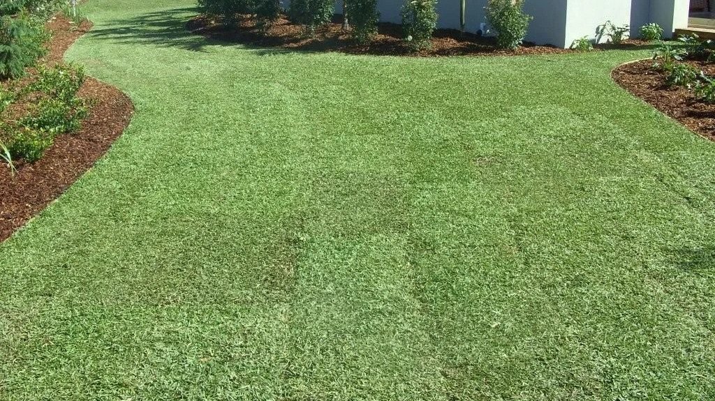 Cheap-turf-installation-in-perth