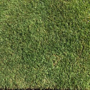 high-quality-Kikuyu-Grass-in-perth