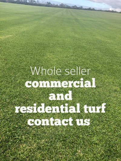 best-commercial-lawn