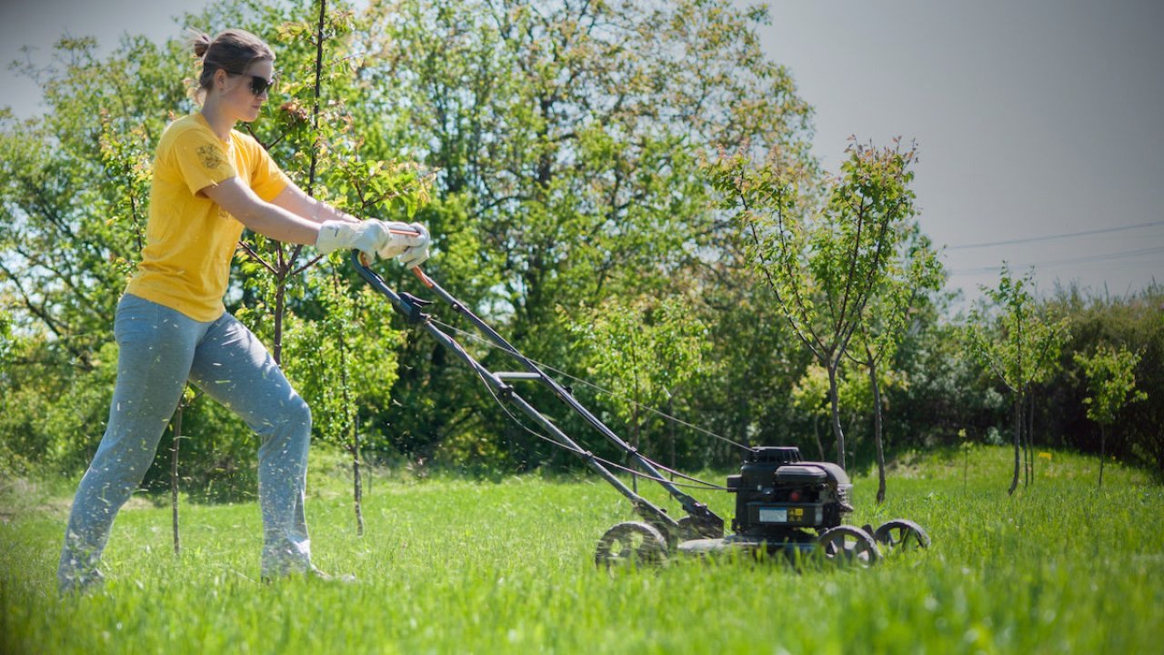 Lawn-maintenance-perth