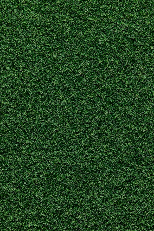 High-quality-turf